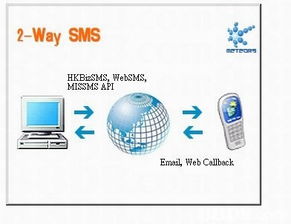 探索軟件開發(fā)與相關(guān)技術(shù)領(lǐng)域